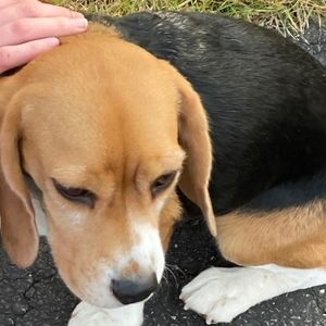 Meet your Posher, Norah